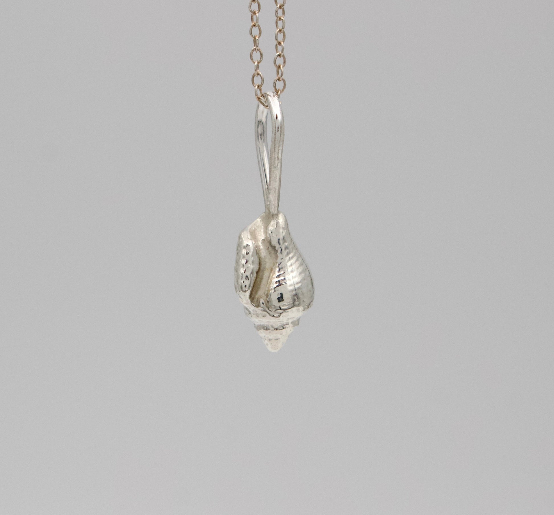 Aruba Shell Necklace | Minima Collection